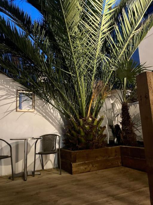 דירות Brighton Palms מראה חיצוני תמונה
